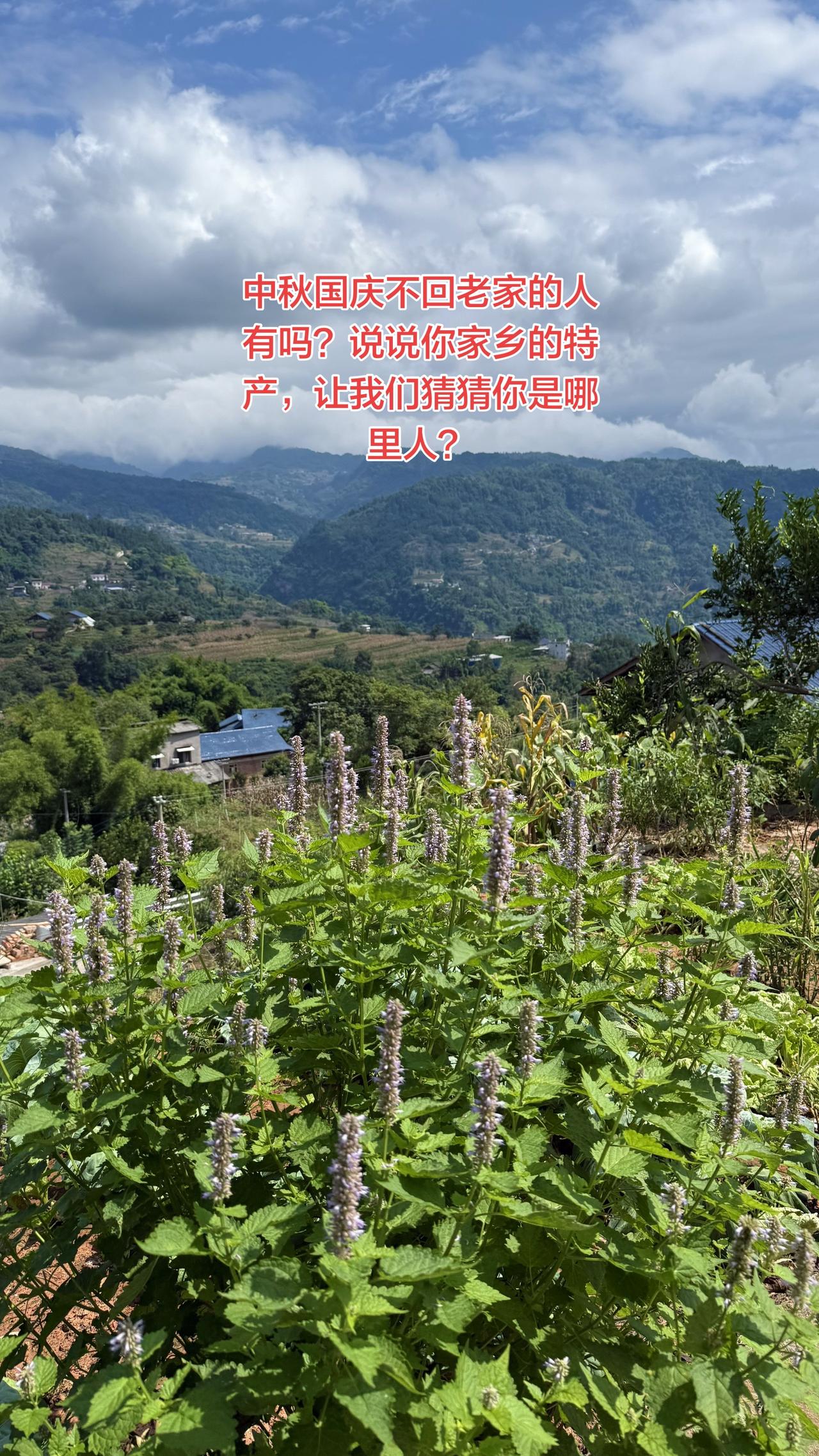 中秋不回老家的人有多少？说说你家乡的特产，让我们猜猜你是哪里人？