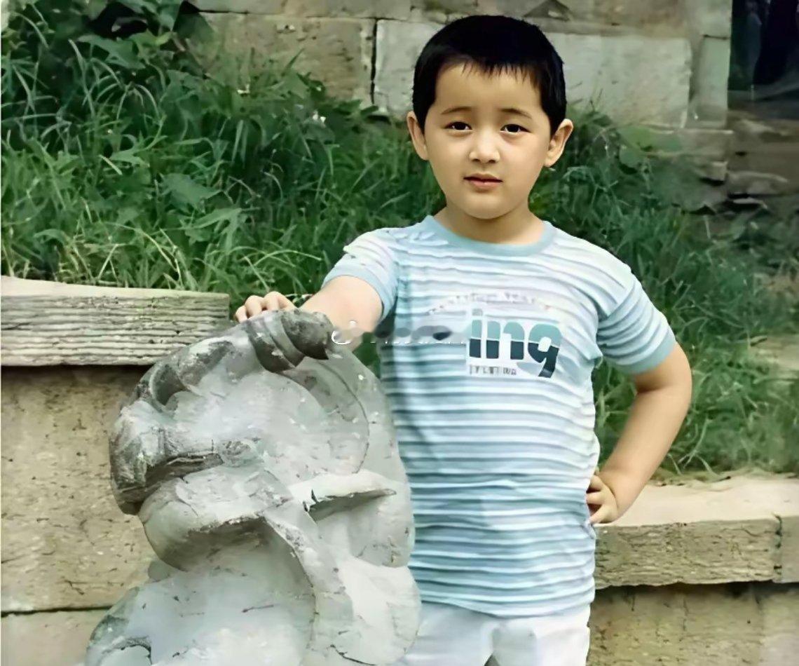 他小时候居然这么胖？长大后变帅了，不知道江疏影会不会后悔 