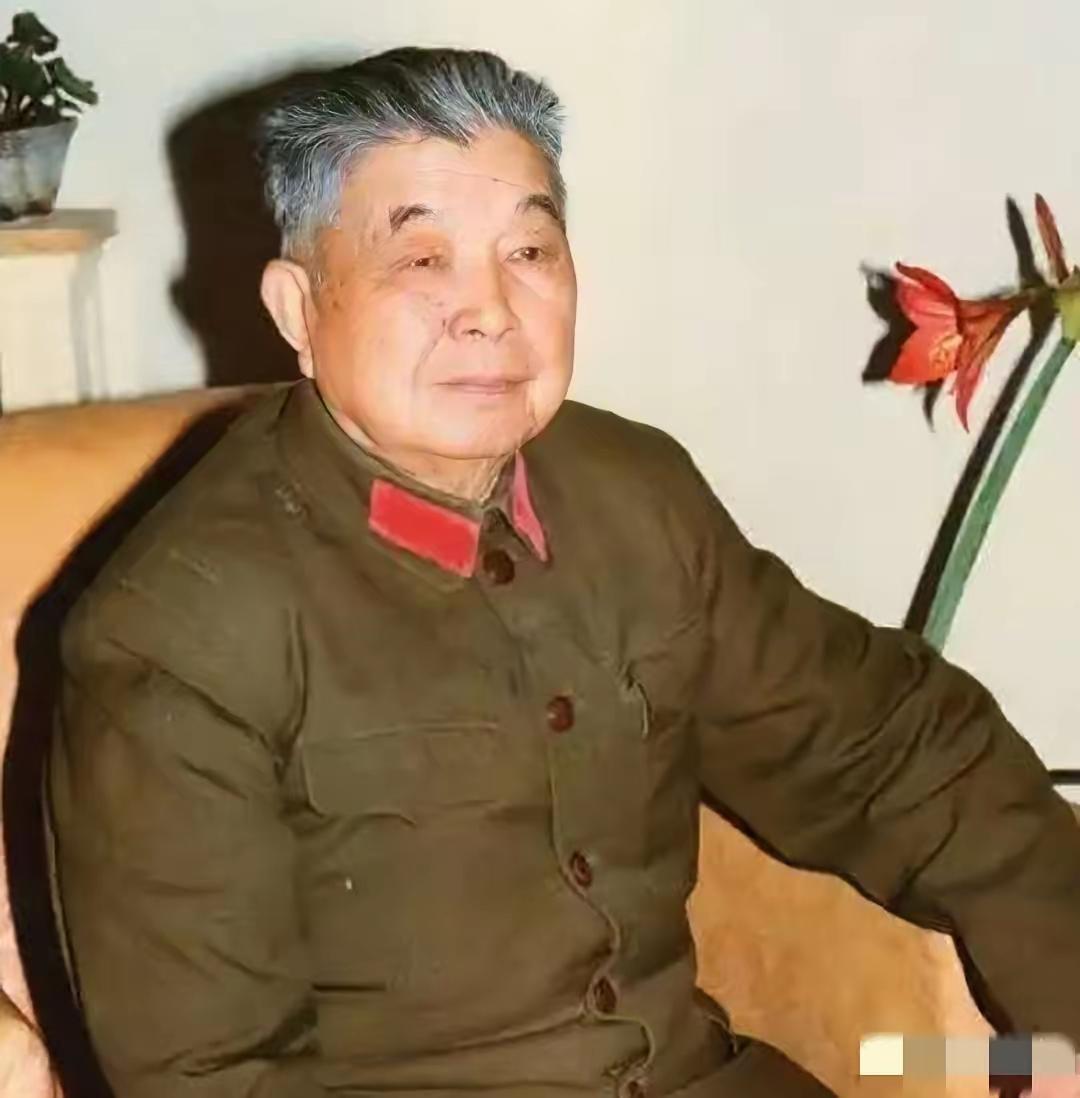 1953年，西康军区司令员刘忠，听说母亲尚在人世，当即带着妻子回家探亲，可到家后