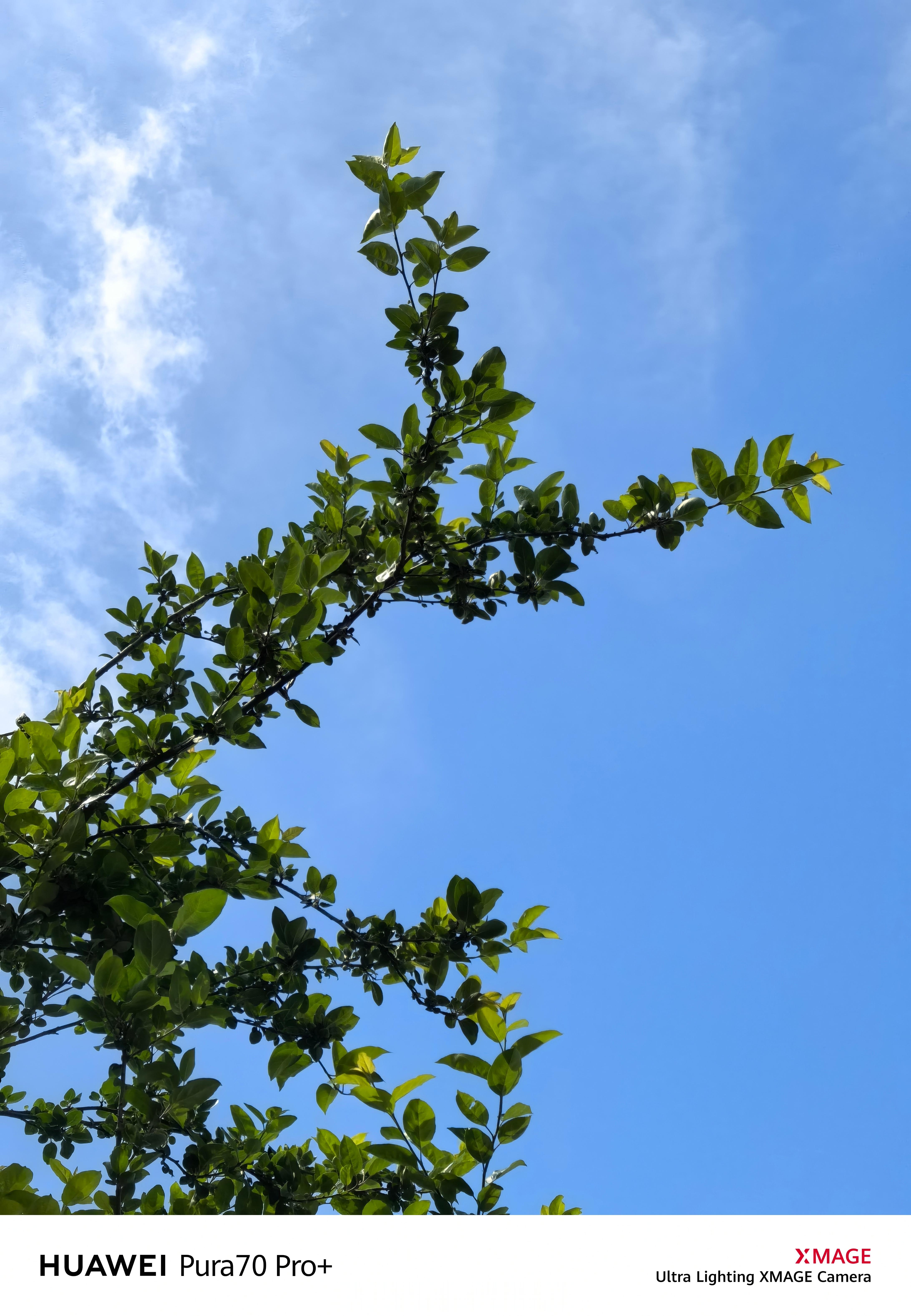 好久没有这么看过天空了啊 苏州