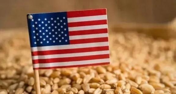 断中国粮，饿死十几亿人？美国驻日大使曾扬言，如果中国不按他们的规矩来，就要掐断中