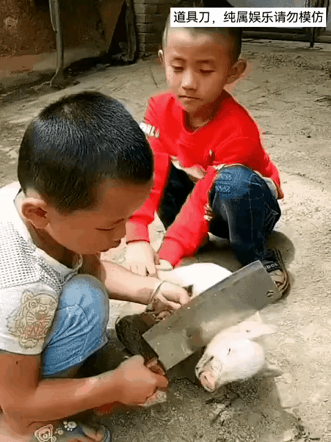 小孩何必为难小猪呢？
可怜的小猪猪，肯定吓死了，俩小孩一脸冷漠！
估计看多了大人