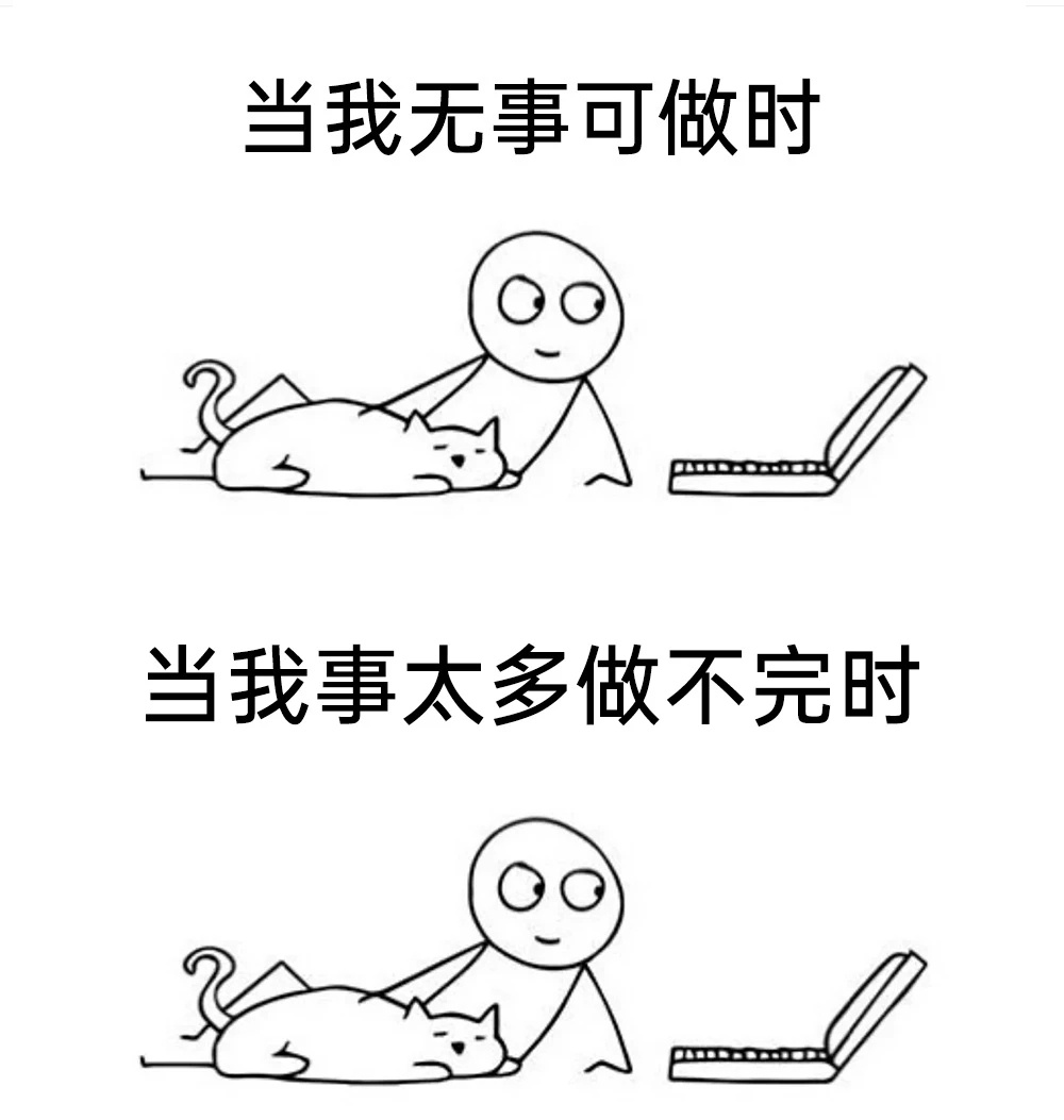 有事没事撸会猫meme ​​​