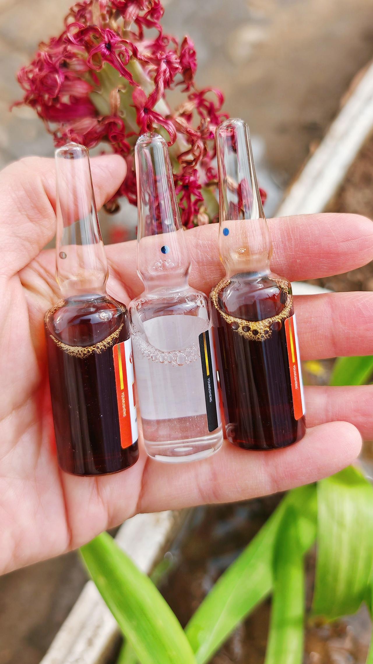 养羊人 农村养羊 牛羊养殖