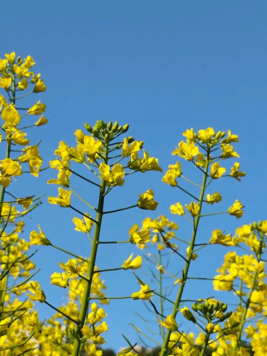 夜深人静，就把心掏出来缝缝补补，一觉醒来，又是信心百倍。活着，就要逢山开路，遇水