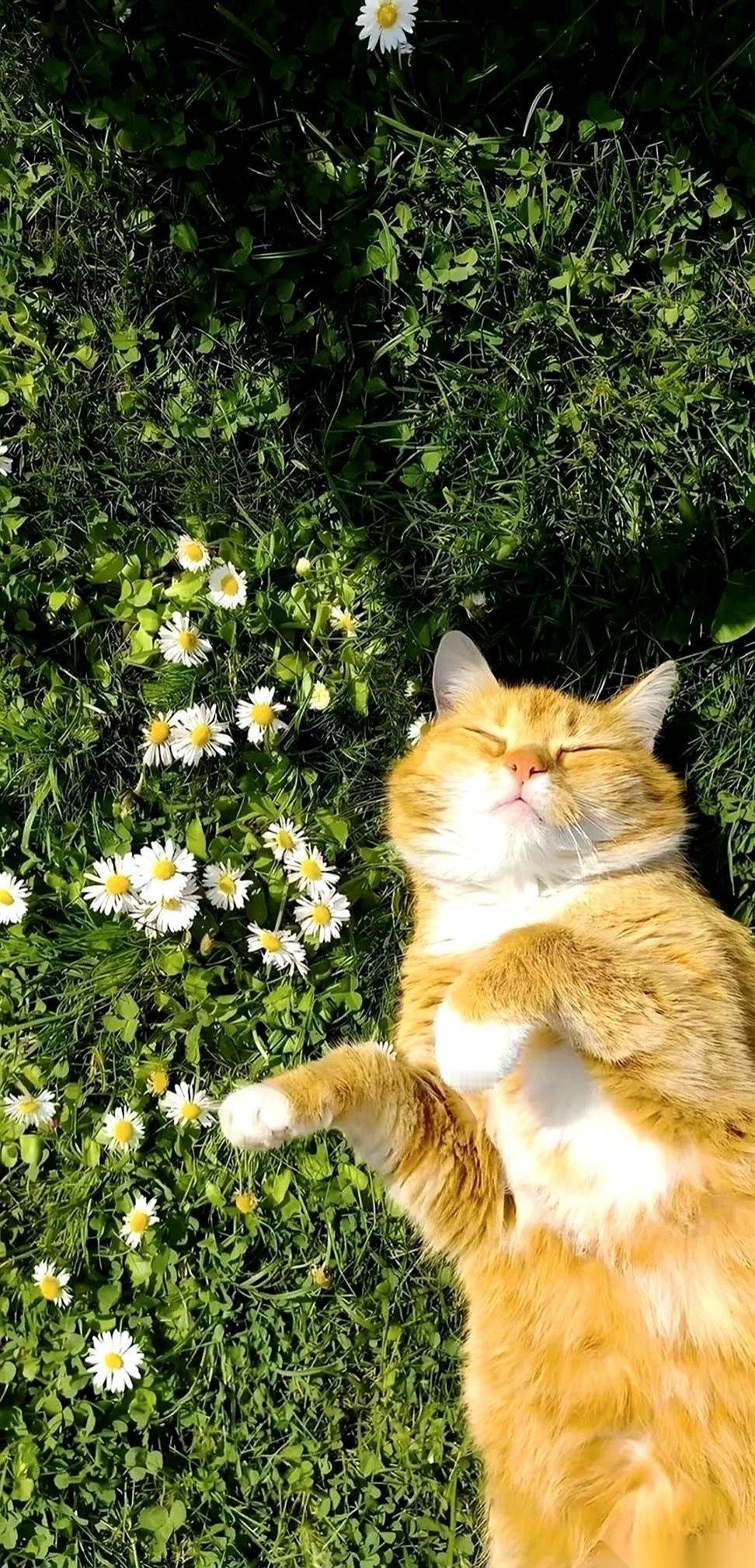 别跟我聊什么OKR，也别提什么KPI了。
我告诉你，一个人一天状态好不好的终极指