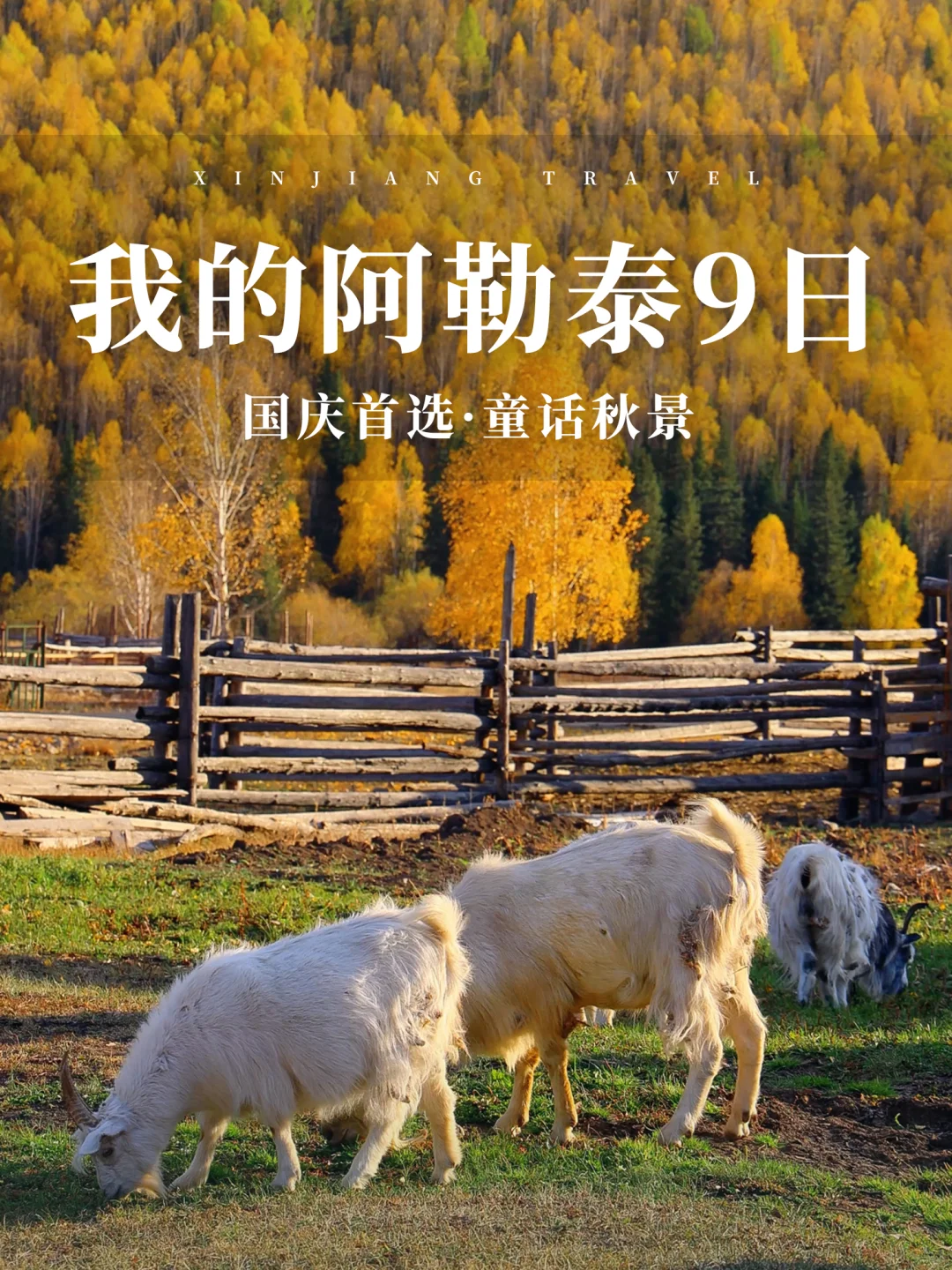 国庆首选 | 喀纳斯禾木9日限定赏秋私家团