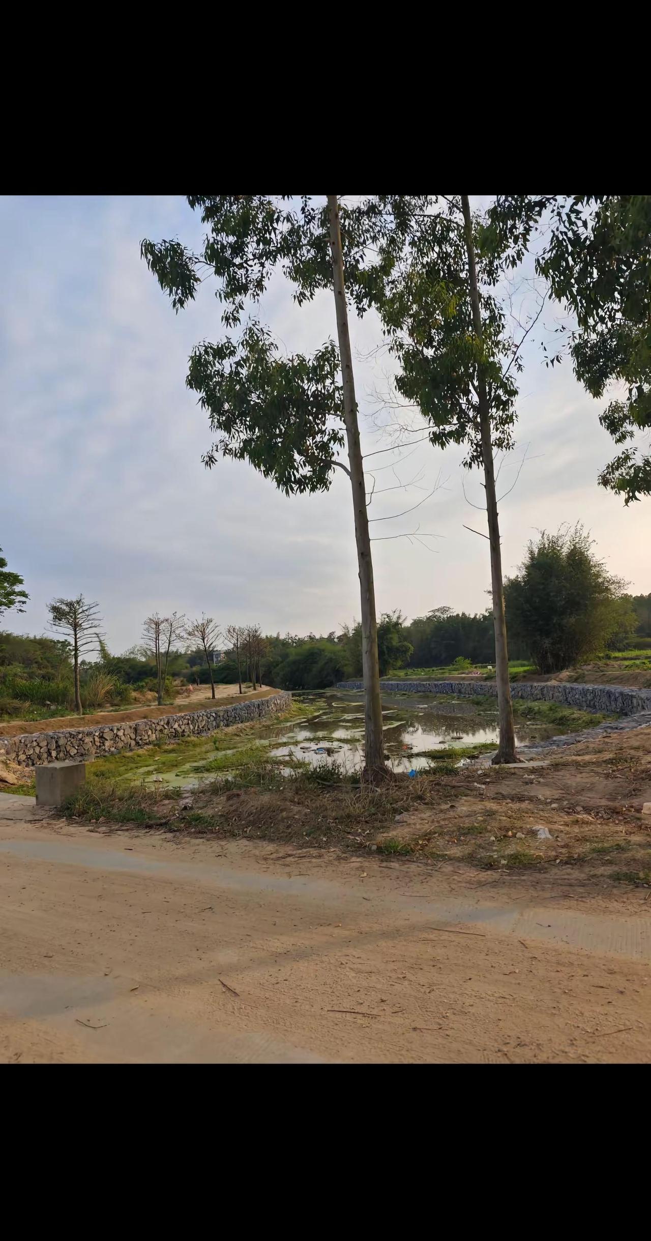 寻找恩人，广西岑溪南渡榃容，她叫黎艳妙，她救了我一命，现在我想找到她，有岑溪老乡