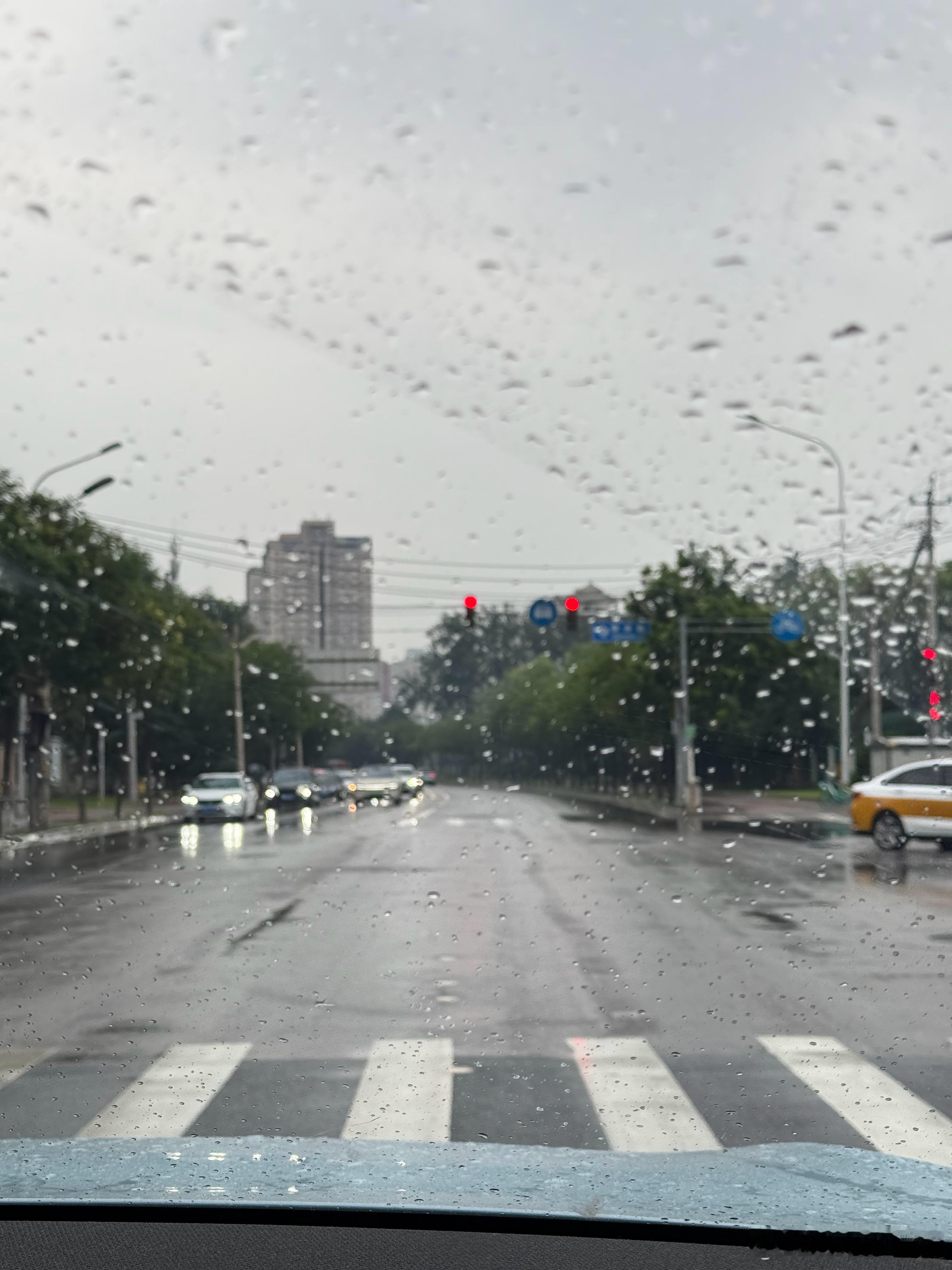 早上好啊！又是下雨的一天！早安 ​​​