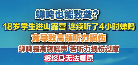 “这比电视剧还刺激！”一个18岁小哥进山露营，愣是被蝉鸣包围了整整四个钟头。他本