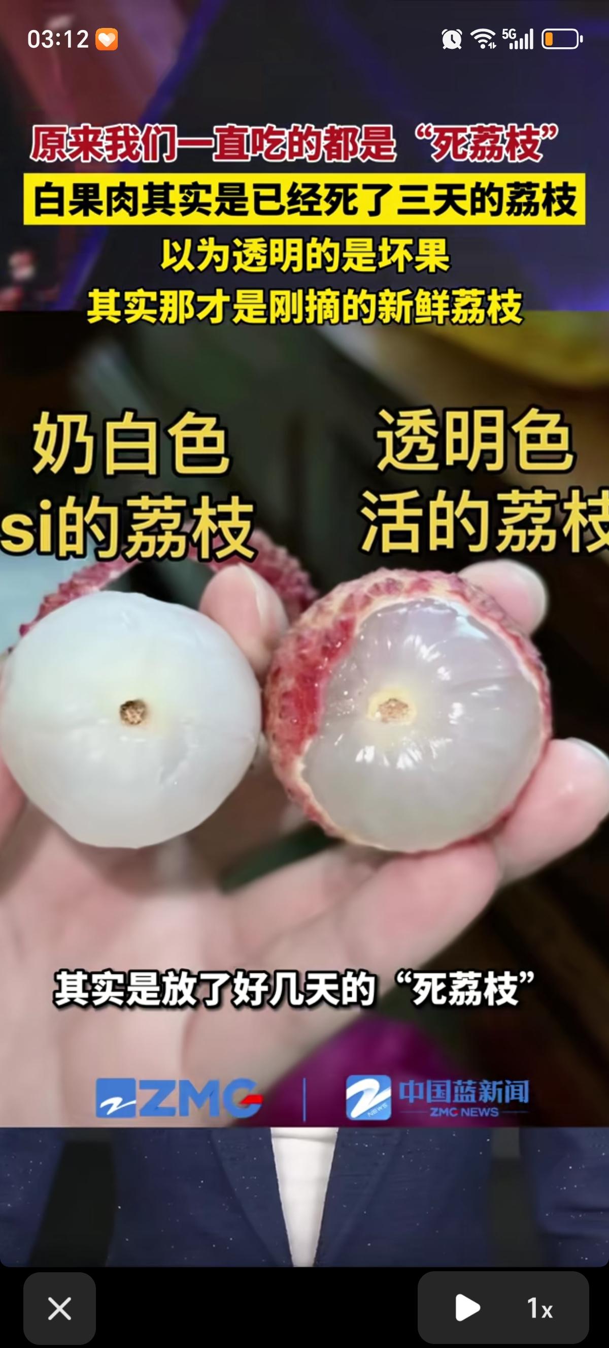 原来我们一直吃的都是“死荔枝”，咱们平时在超市买的那种奶白色荔枝，其实大多是摘下