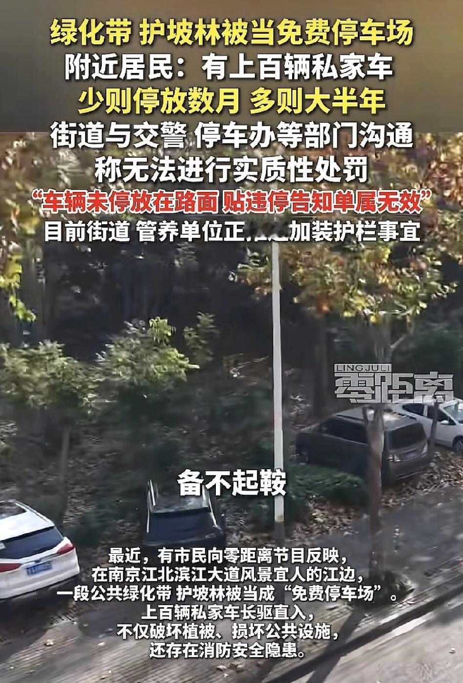 南京一风景宜人的江边，有不少附近的居民反映，很多绿化带护坡林都成了免费的停车场，