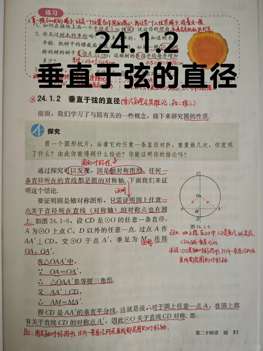 24.1.2 垂直于弦的直径