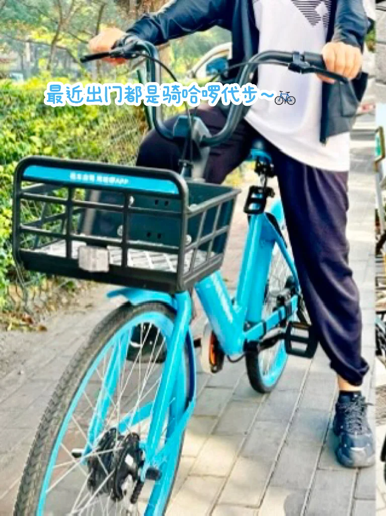 哈啰你。。。原来这么多🐑薅啊！！！