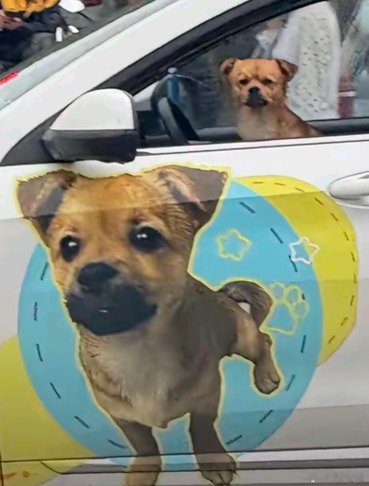 我p图： 