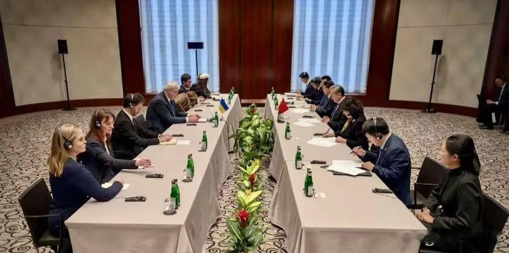 战争真要结束了？乌克兰外长感谢中国的额外人道主义能源援助方案
当地时间13日，在