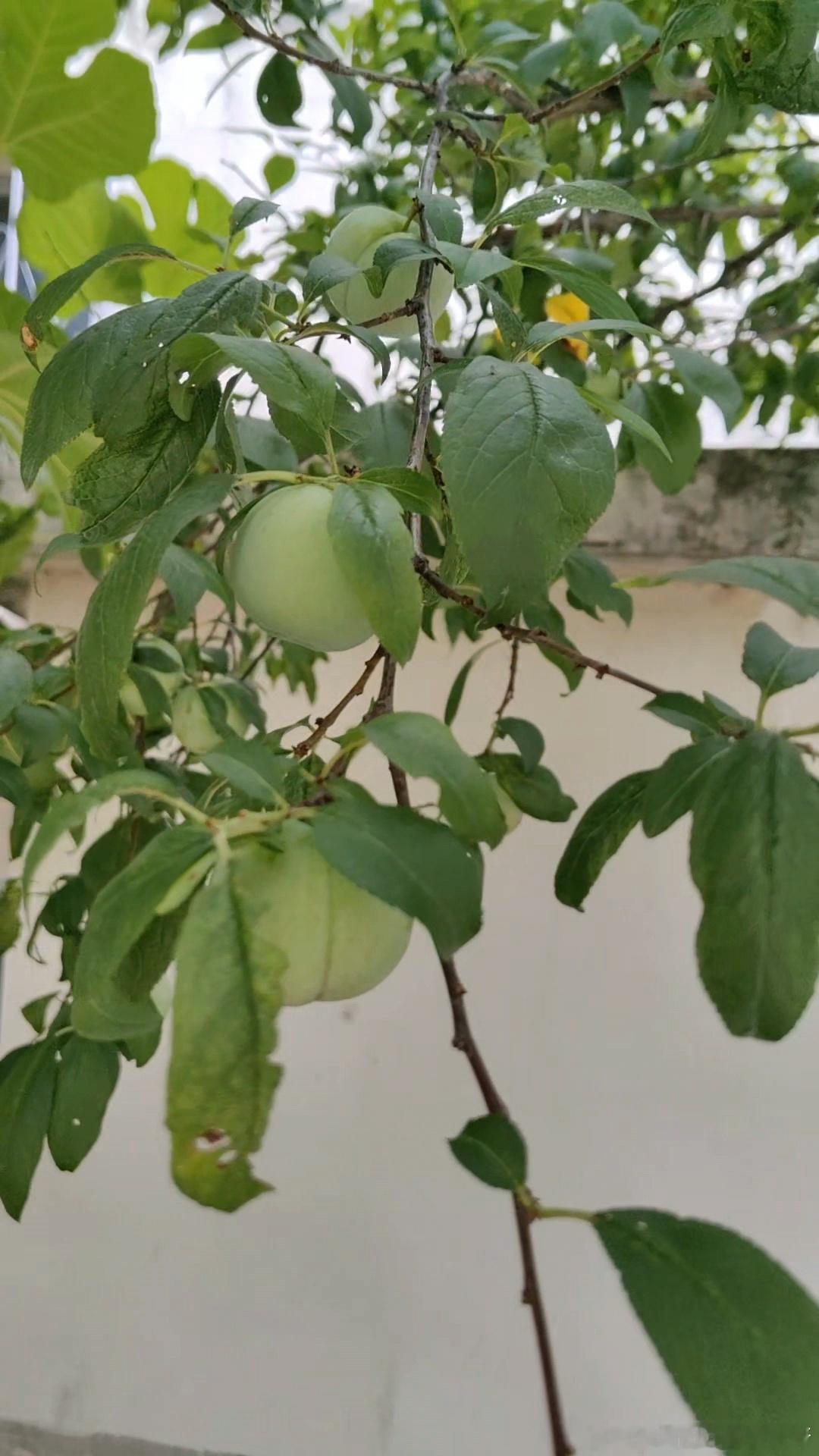 建议不要把快递带回家里拆早就知道快递📦上面细菌多，没想到有。家里有老人爱捡纸箱