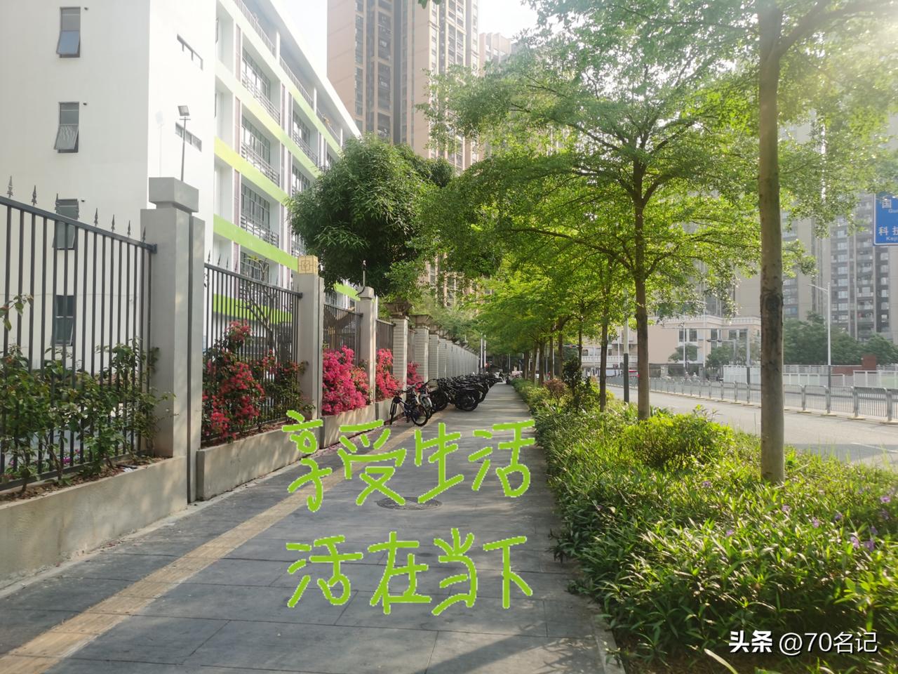 我70后
比不上张雪峰
有成就 有财富 有影响力
但有一样他比不过我
至少 我今