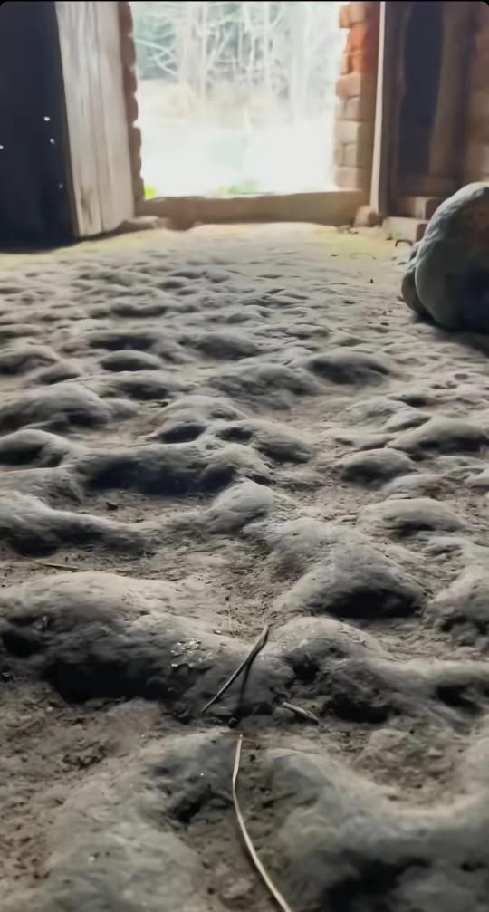 寻找住过这种房屋地面的同龄人，看看这样的泥巴地面，住过的你最年轻的应该也是70后