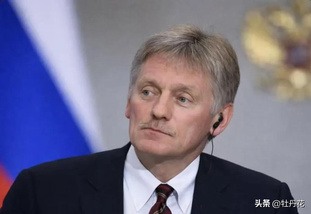 俄罗斯宣布了，
3月31日，围绕泽连斯基提出的“复活节停火”呼吁，俄总统新闻秘书