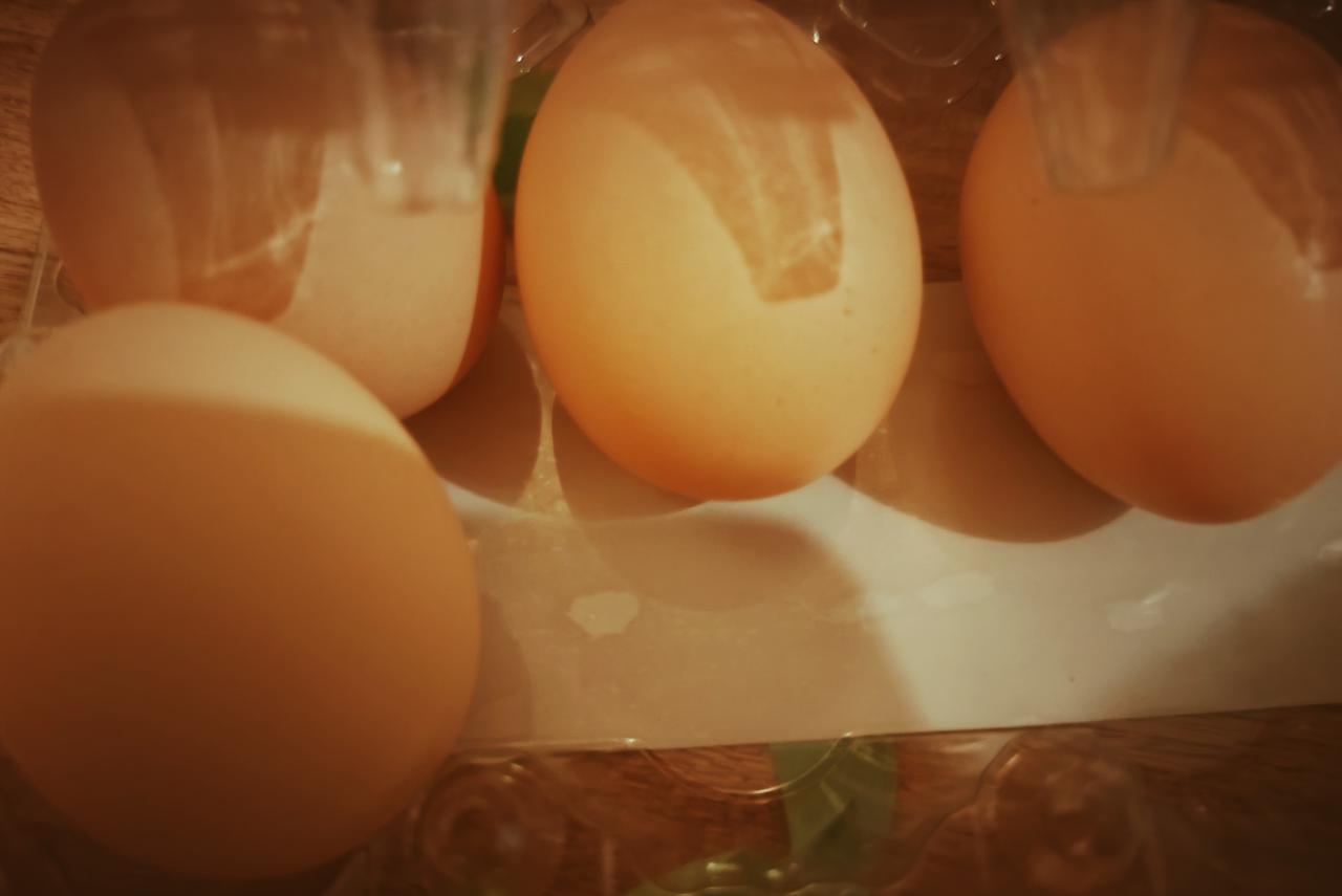 关于先有鸡，还是先有蛋。好像都可以绕来绕去，可以公说公有理，婆说婆有理。但是，估