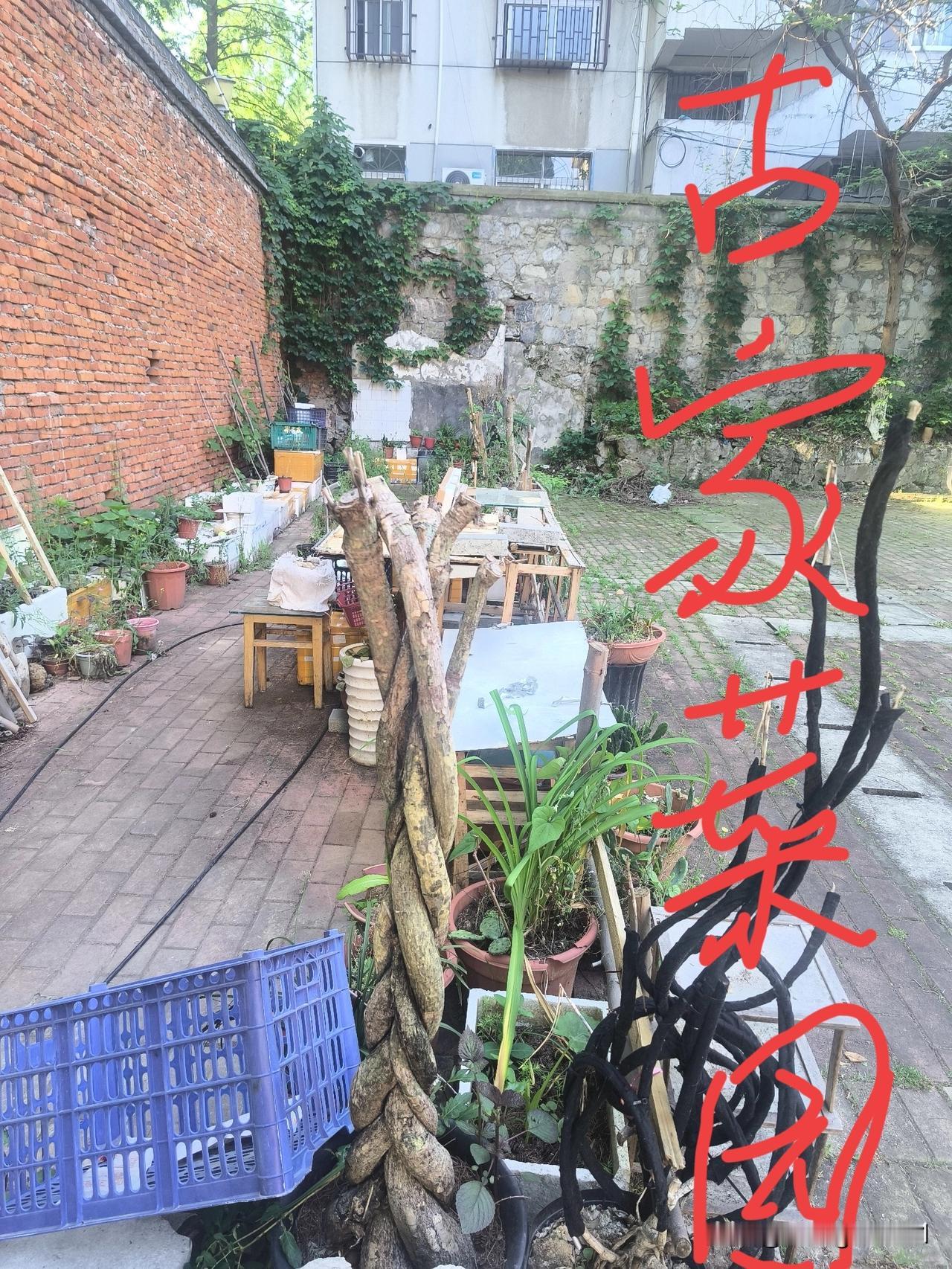 人比人，气死人！
     古老师退休已有六年，平日里无所事事，便在小区最里面的