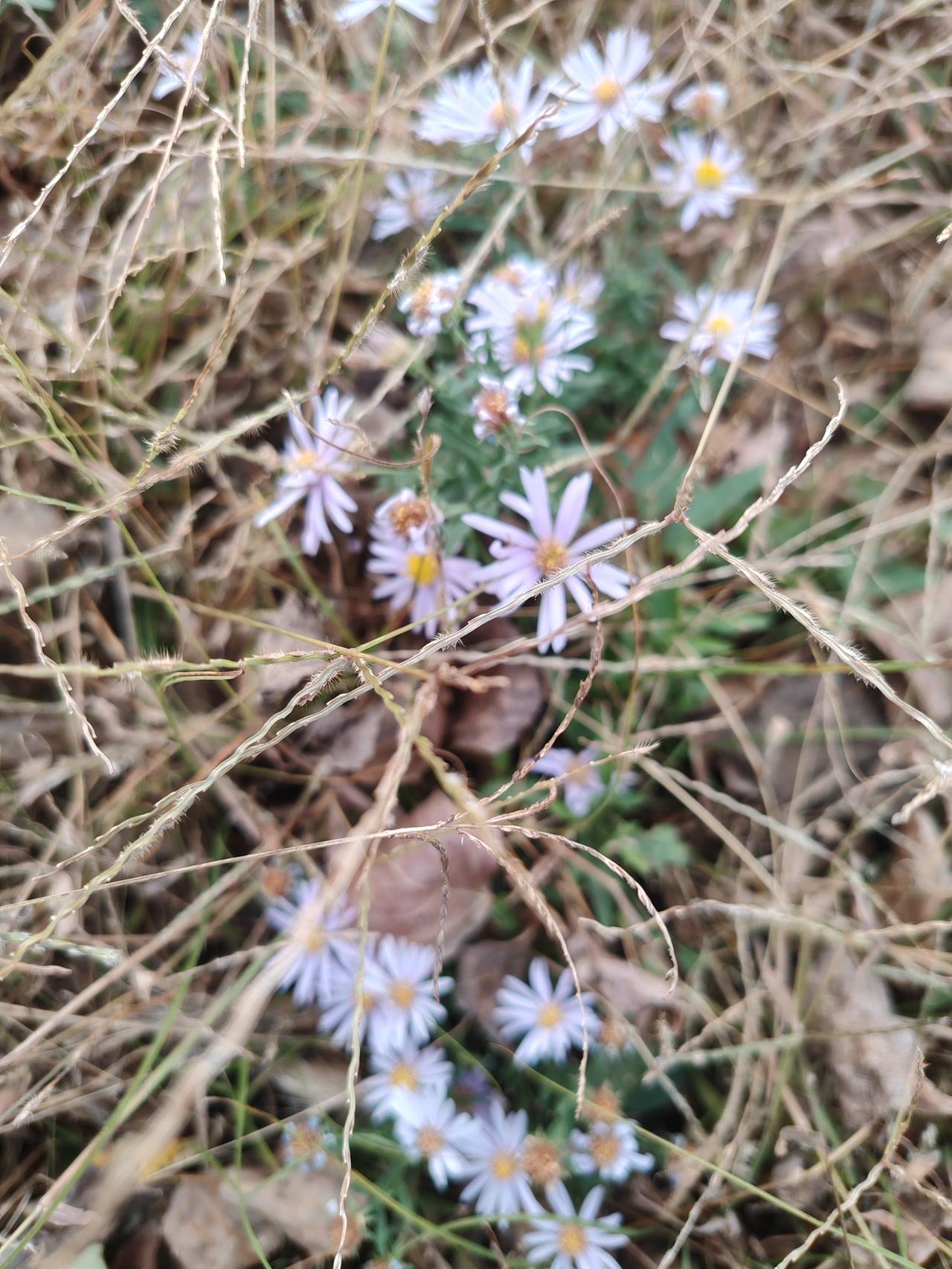 晒图笔记大赛岁月温柔以待