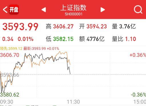 现在每天的保留节目，就是表演跳水，只不过今天出现在上午了。 ​​​