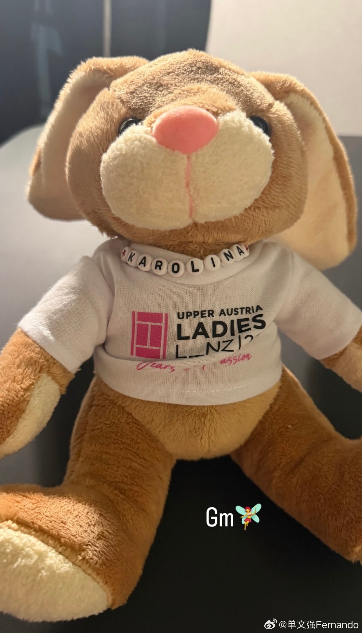 卡·普利斯科娃！！！再度复出🔥WTA500林茨站女单报名名单有Karolina