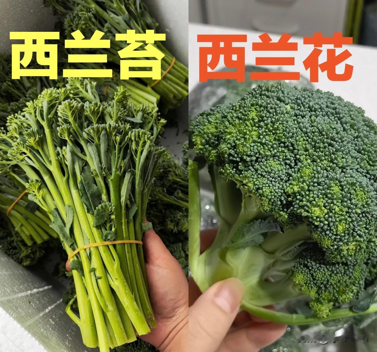 山姆类的会员超市，
筛掉了一大批贪便宜的人，
就比如超市里经常掰菜的“大妈们”。