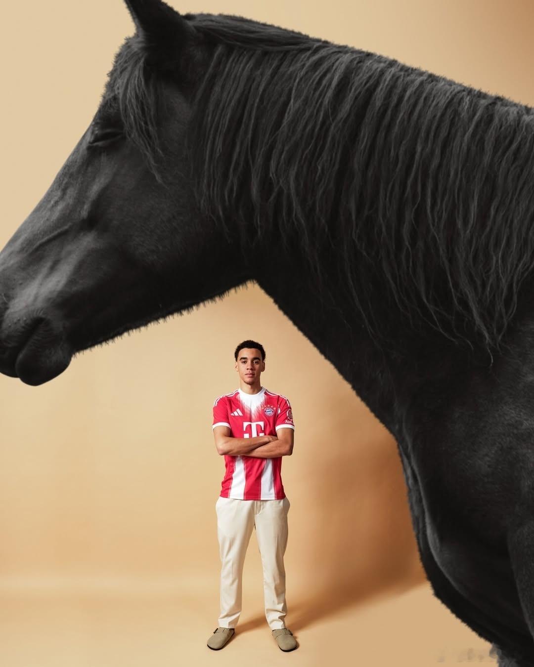 🐴馬年快樂❤️🤍🇨🇳 