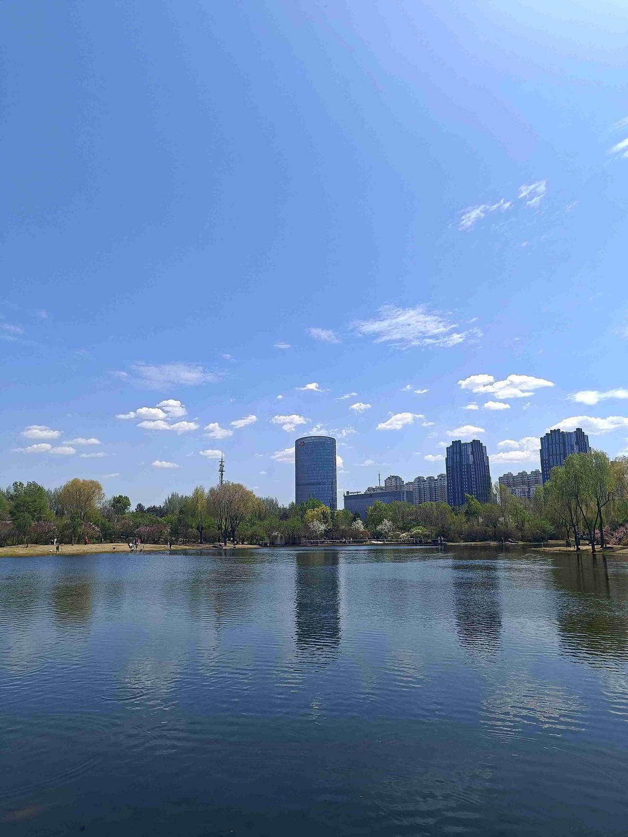 一汪静水映着城市高楼，蓝天与白云落进湖面，格外安宁。喧嚣的楼宇在远处林立，湖水却