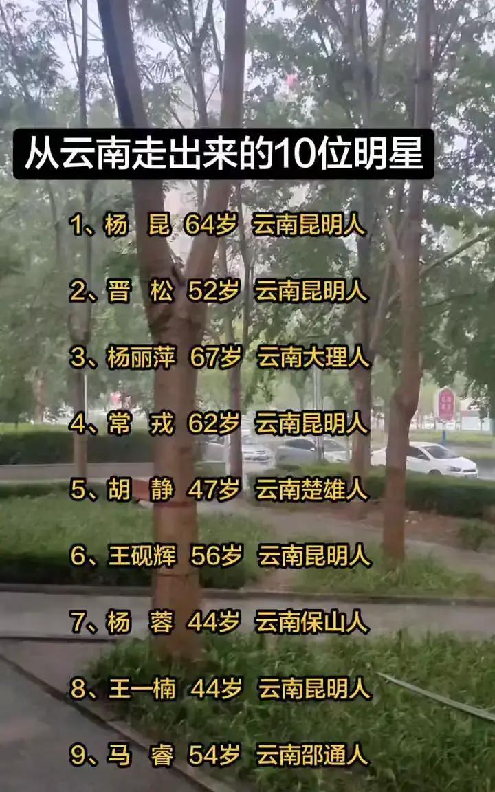 云南这些明星最近没闲着，个个都在折腾。
 
你看杨昆，六十多了，演个《去有风的地