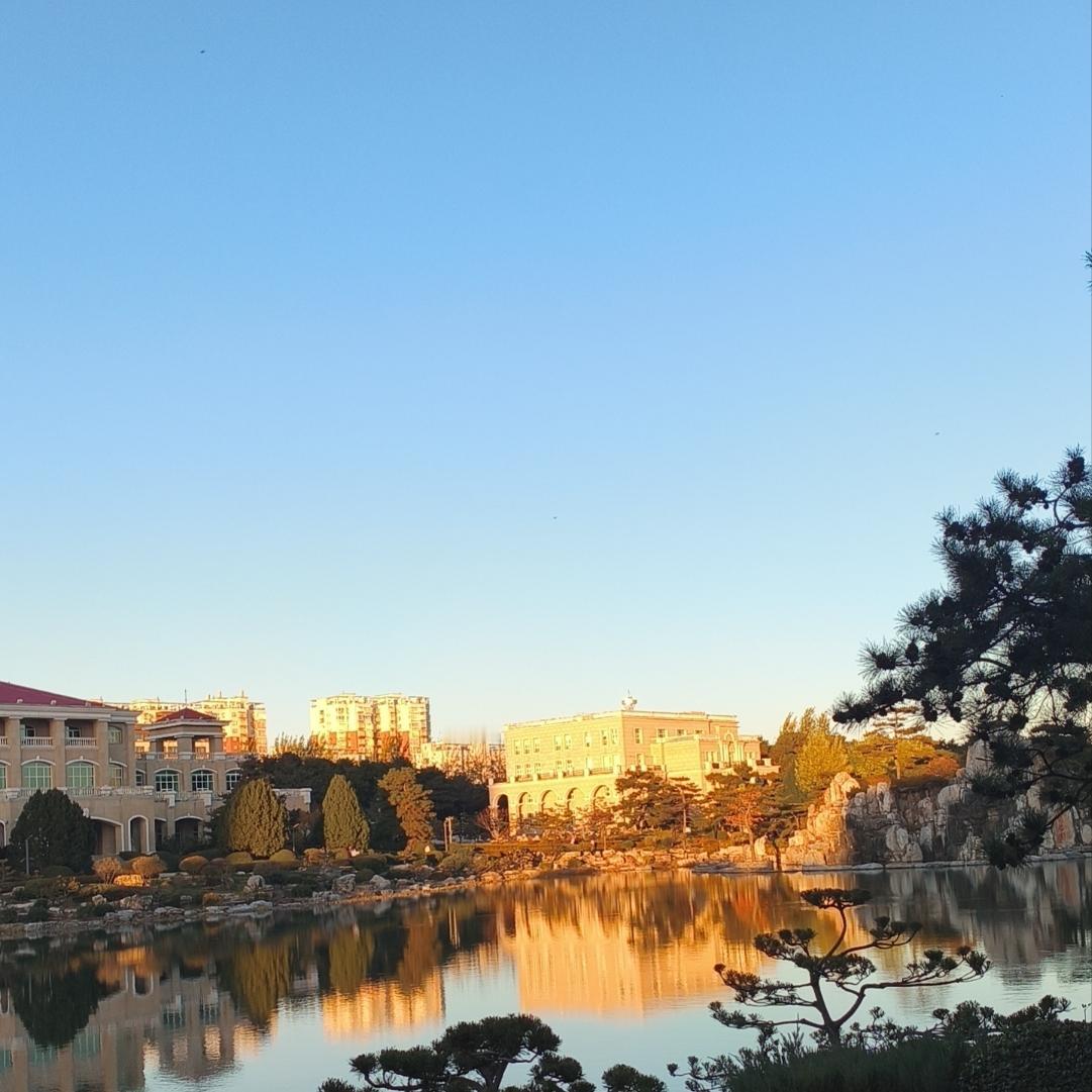 世界的神经正被绷紧的局势反复拉扯，一场新的冲突仿佛已站在历史的门槛上，空气里弥漫