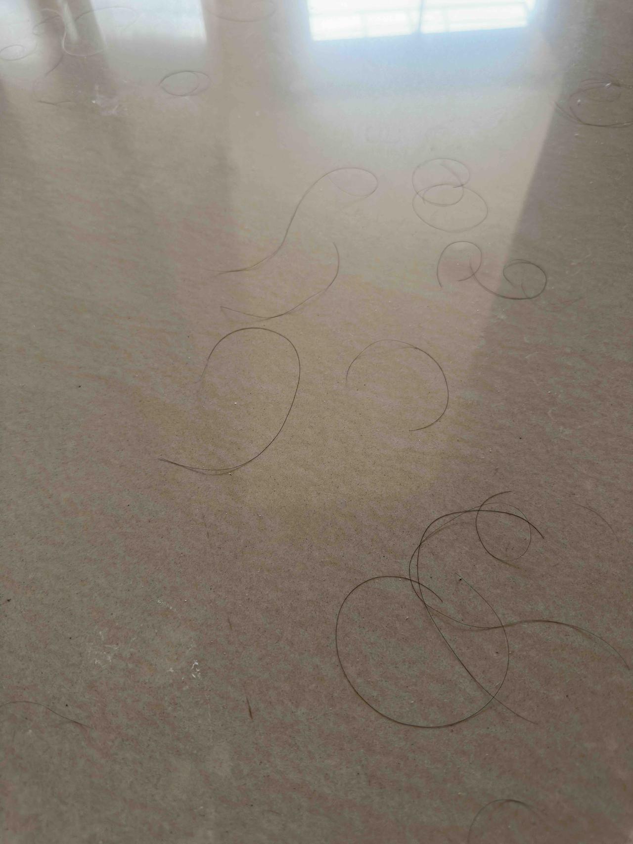 晚上洗了头发，用电吹风吹干头发，早晨起来一看，站在那里吹头发的地板上，头发掉了一