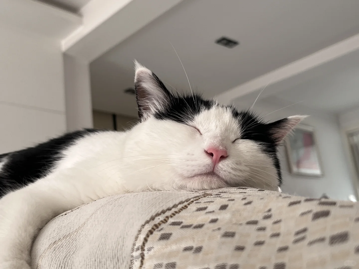 小点声，小猫睡着了