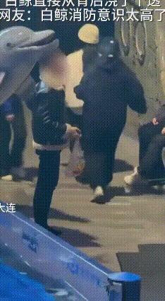白鲸“正义喷水”！浇灭违规烟头
 海洋馆里，一名中年男子竟在白鲸互动区公然吸烟，