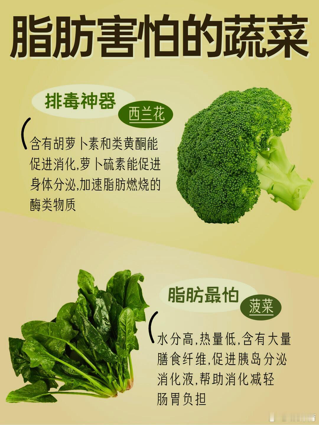 【脂肪最怕的10种蔬菜，吃对轻松瘦身！】减肥健身 这些蔬菜堪称“天然减脂神器”，