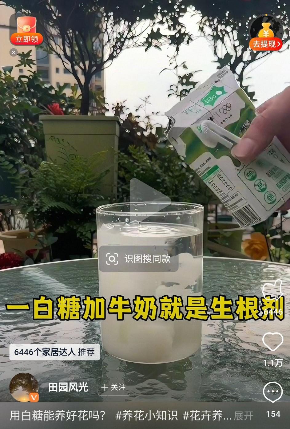 以前搜集了好多养花小秘诀，今天好奇问了一下豆包，不但没用，竟然都是祸害，差点气死