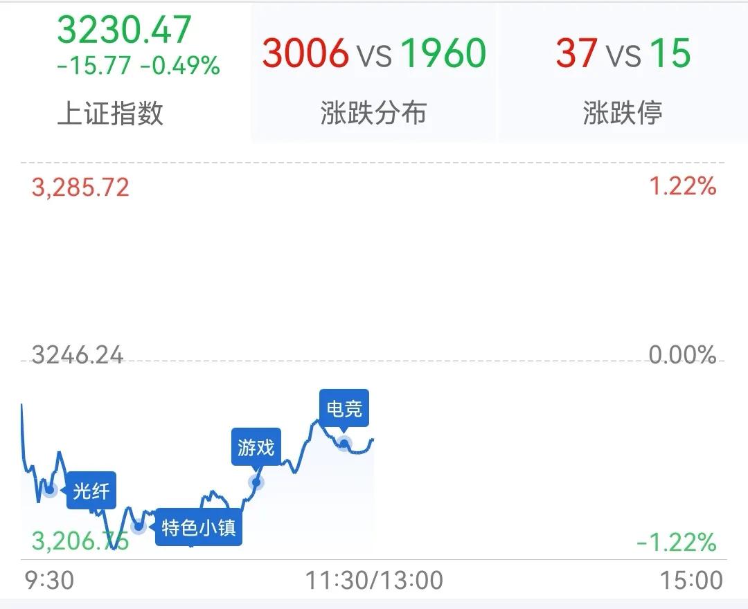 午评：沪指探底回升跌0.49％芯片概念股集体反弹

        市场早盘探底