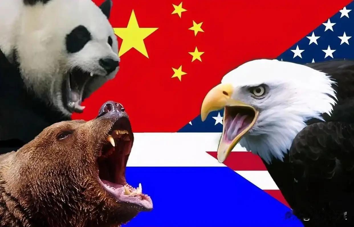 说到家，如今的俄乌战争和美伊战争，其实就是东西方阵营的较量，就是发达国家与发展中