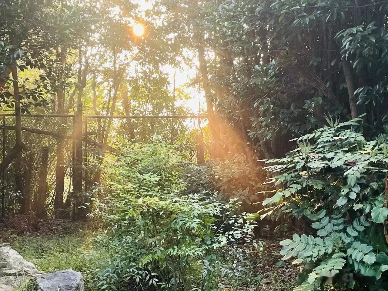 自己足够喜欢热爱这样的生活，
你才能抵过那些漫长的黑夜。
冬日生活记录