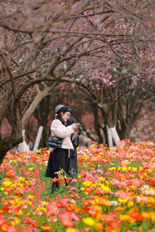 成都拍照🌸｜你可以永远相信春天的植物园~