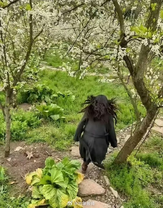 夫妻出去郊游，结果美女被老公拍成了一头黑野猪😆😆😆 ​​​