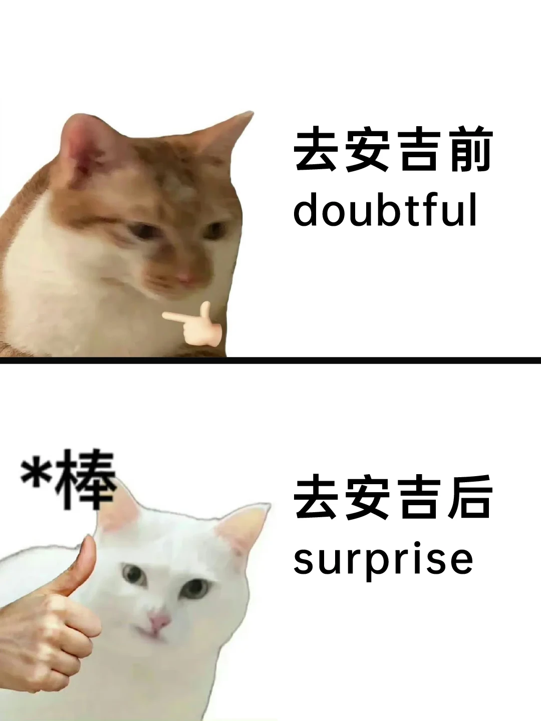 为什么我去安吉之前没刷到这篇😓😓