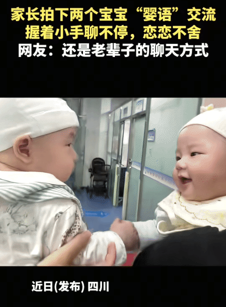“太治愈了！”四川，家长拍下两个宝宝见面一幕。没想到，他们握着小手，聊个不停，就