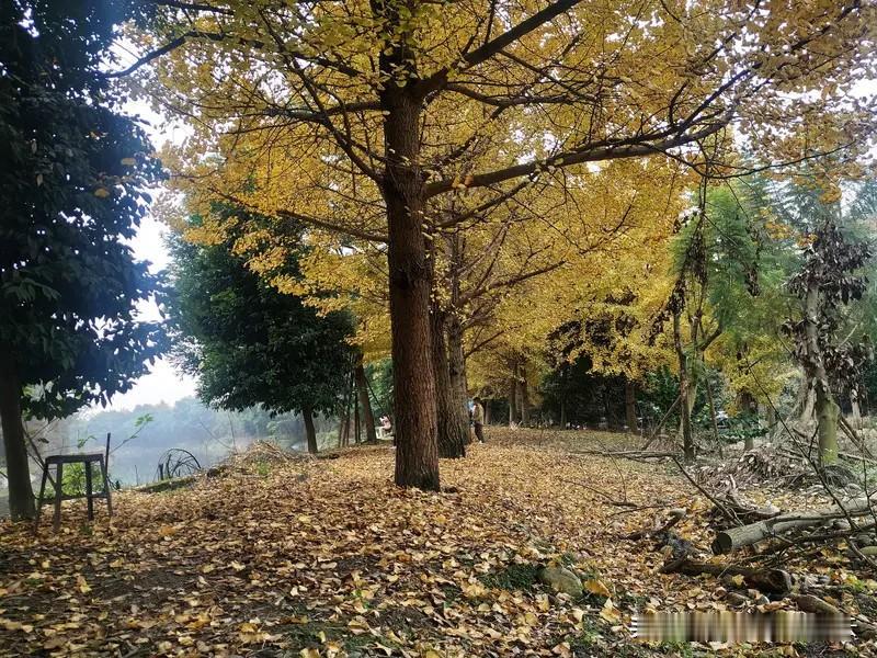 普通人最应该抛弃和摆脱的一种观念就依赖他人。

这里的他人指的是你亲密关系的伴侣