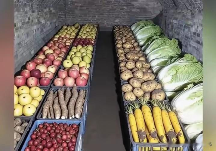 一家六口猫冬够吗[灵光一闪]