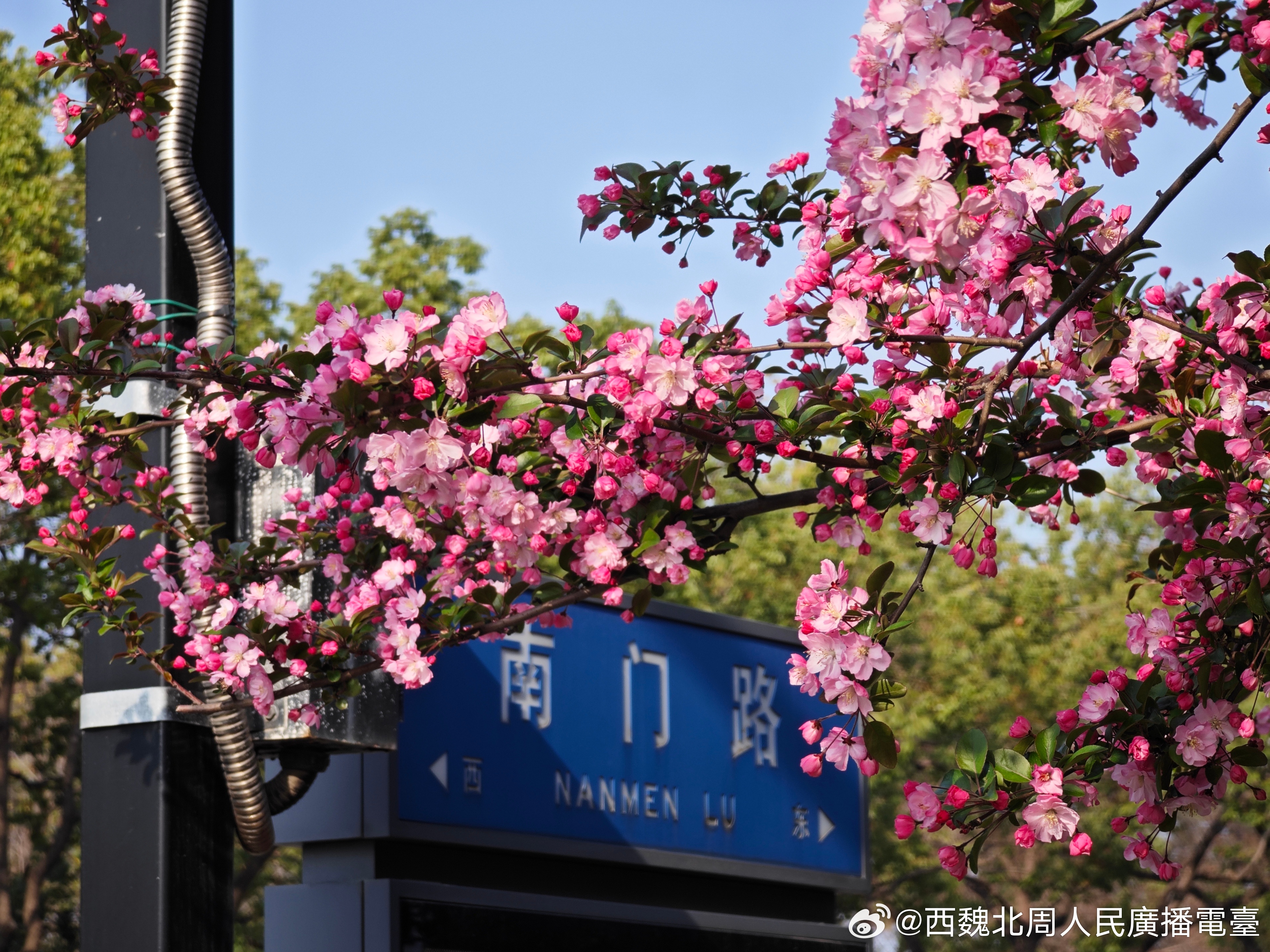 魏晋考古 盘门外原染丝厂古冢遗址，传说为孙策墓 