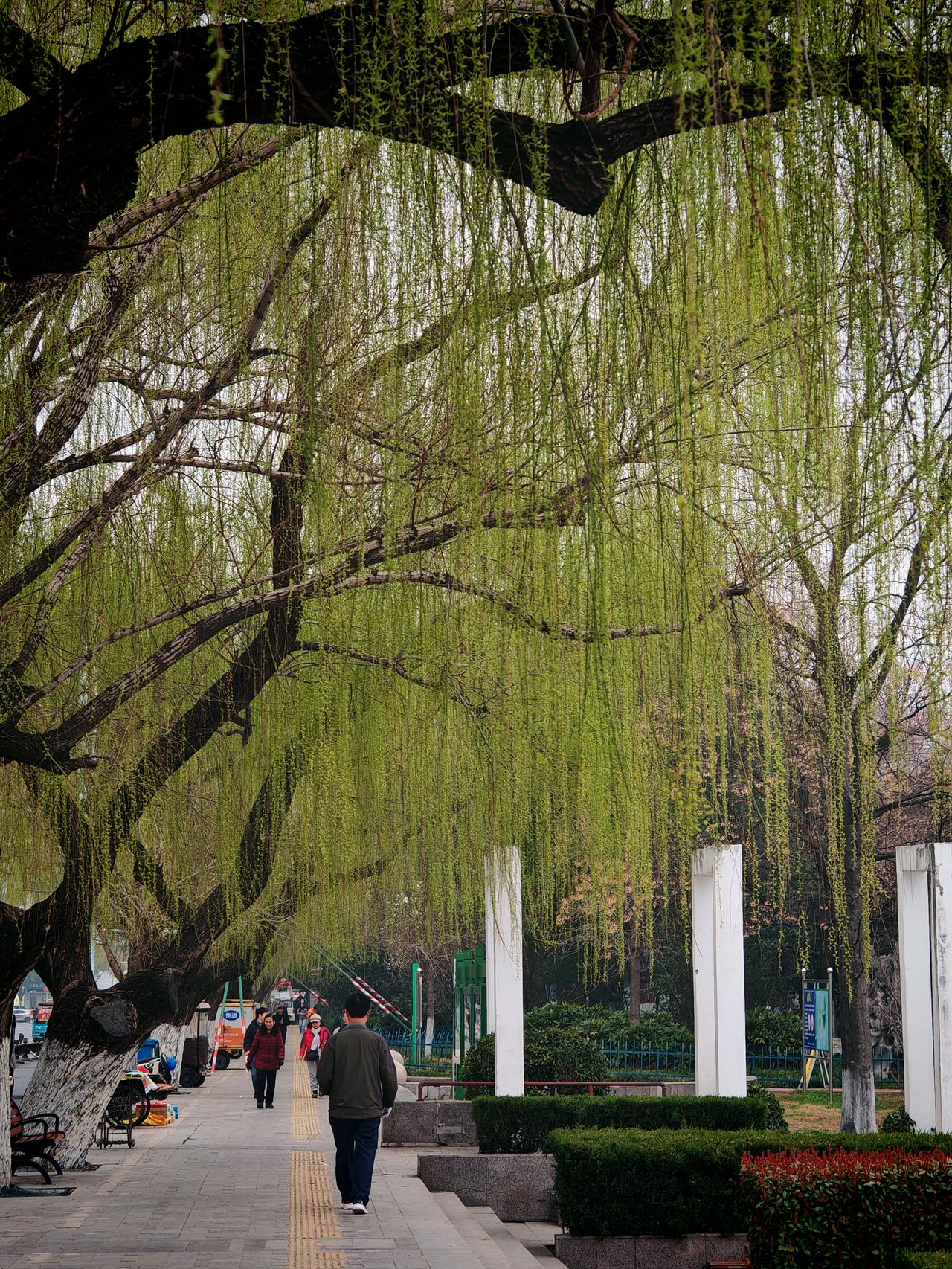 春风又绿江南岸，明月何时照我还？